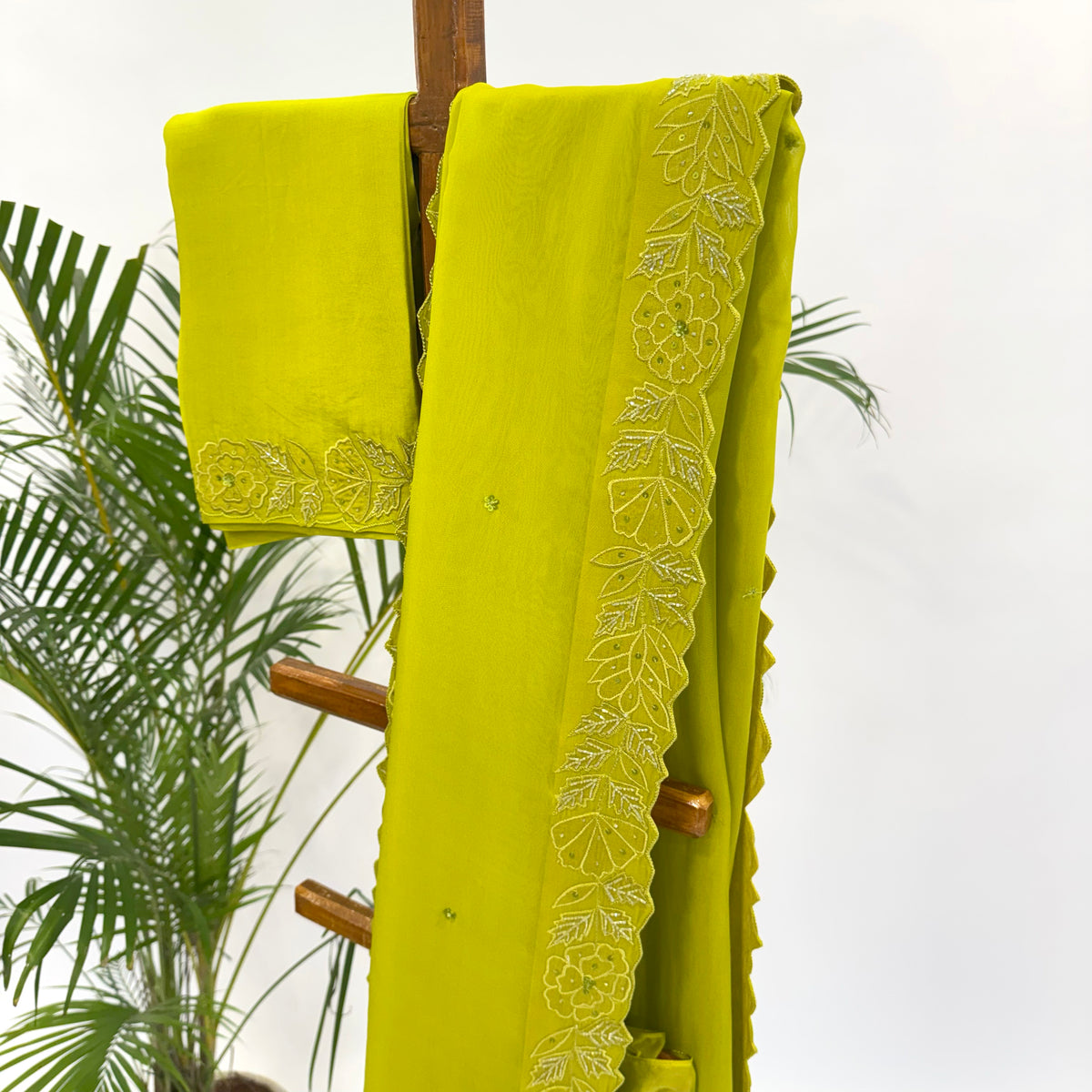 LEAFGREEN APPLQIUE BORDER ORGANZA SAREE