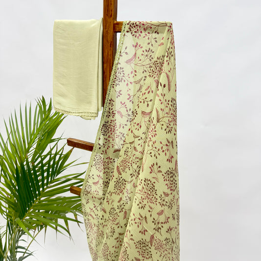 Mint Green Kumri Chinnon Saree