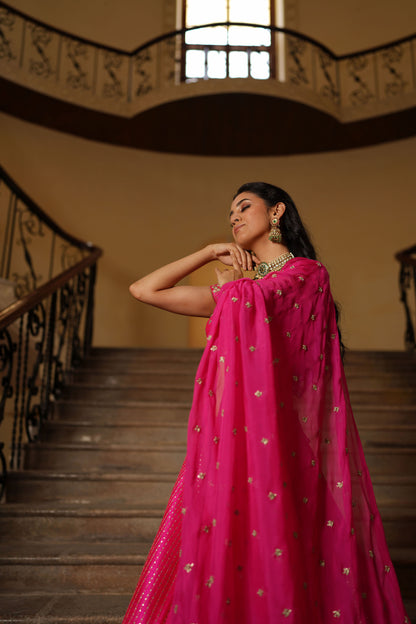 Hot Pink Pitta Lehenga