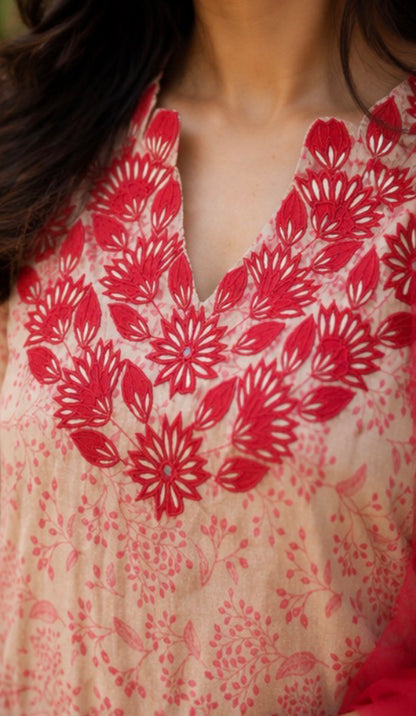 Blush Kumri Kurta Set