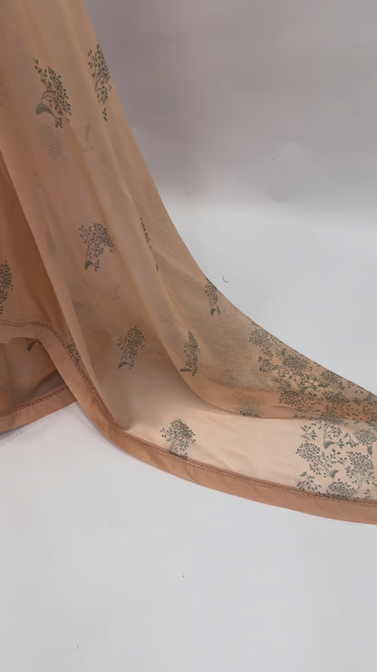 MUSKMELON KUMRI MOTIFS ORGANZA SAREE